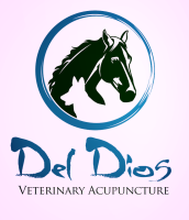 Del dios veterinary acupuncture