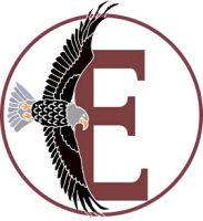 Eagleview academy