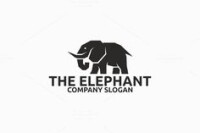 Elephant in the room communications