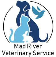 Eleos veterinary service