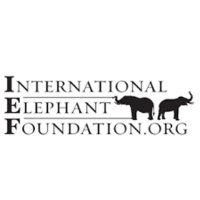 International elephant foundation