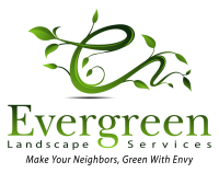 Evergreen floral
