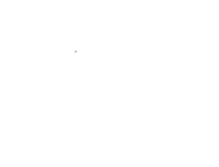Flying pig adventure company