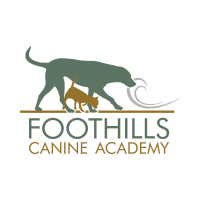 Foothills canine academy