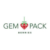 Gem pack