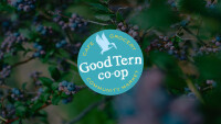 Good tern natural foods store