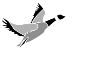 Grey goose graphics, llc