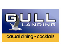 Gull landing