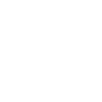 The hansmann group