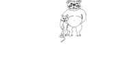 Pet Pal Animal Shelter