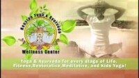 Houston yoga and ayurveda wellness center llc
