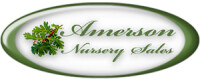 Amerson nursery sales