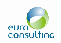 It euro consulting