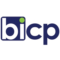 Business Intelligence Competency Partners (BICP)