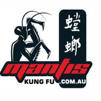Mantis kung fu academy