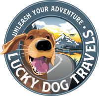 Lucky dog travel