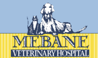 Mebane veterinary hospital