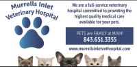 Murrells Inlet Veterinary Hosipital