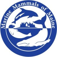 Marine mammals of maine (mmome)
