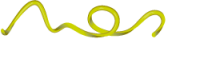 N.e.s solutions
