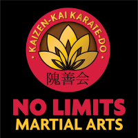 No limits mixed martial arts