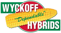 Wyckoff Hybrids
