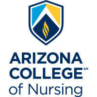 Nursing services arizona llc