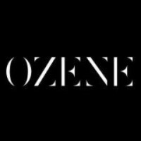 Ozene realty consultants