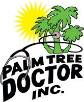 Palm tree doctor