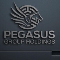 Pegasus group holdings