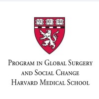 Program in global surgery and social change