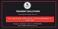 Primebit solutions pvt. ltd.