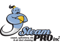 Pro steamer