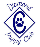 Four oaks puppy club