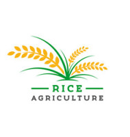 Rice agency