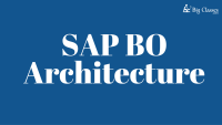 Sap bw / bo architects
