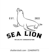 Sea lions foundation