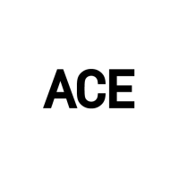 ACE Gallery