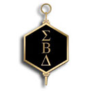 Sigma beta delta international honor society in business, management, and administration