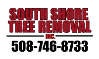 South shore tree removal