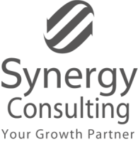 Synergy consulting it