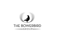 The bowerbird group
