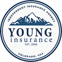 The young insurance group