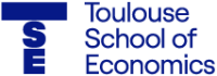 Toulouse school of economics