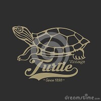 Turtles inc