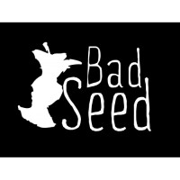 Wilklow orchards/bad seed cider
