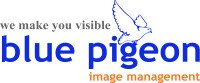 Blue pigeon image management