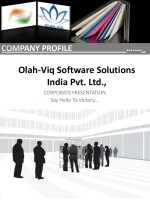 Olah-viq software solutions india pvt ltd