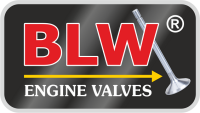 Blw engine valves - india
