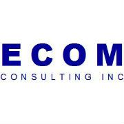 Ecom consultancy services
